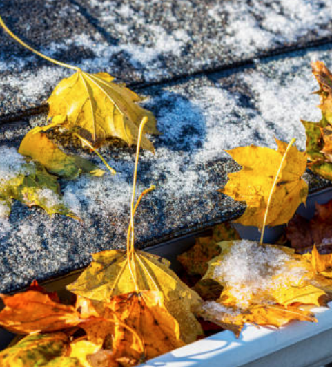 gutter cleaning