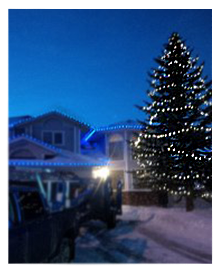Christmas Lights on TALL tree