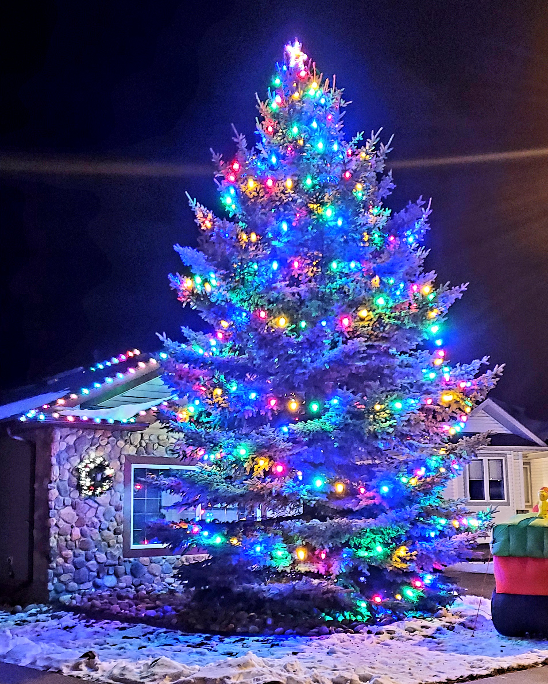 Christmas Lights Installation on TALL tree